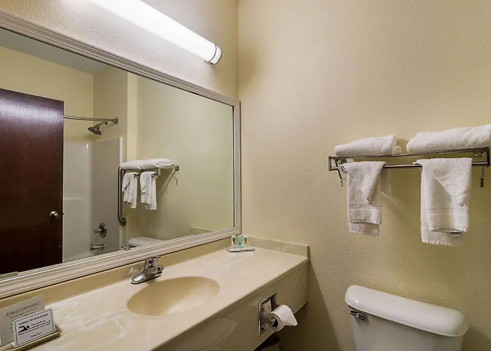 Hotel Quality & - Chicago Southland Harvey